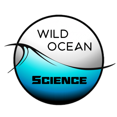 Wild Ocean