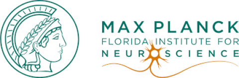 Max Plank Florida Institute for Neuroscience logo