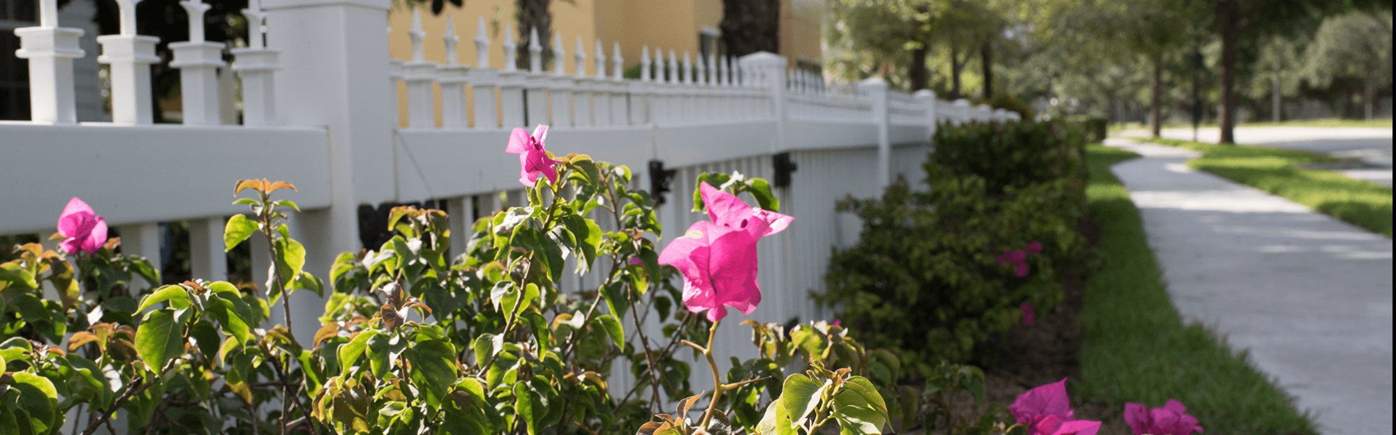 Fence line with flowers in Abacoa